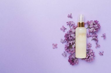 Renkli arka planda kozmetik şişesi ve çiçekli kompozisyon, üst görünüm