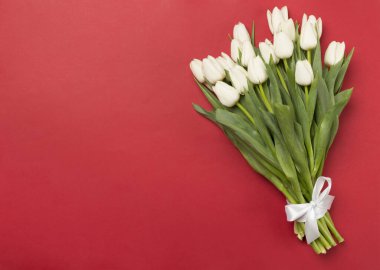 Renkli arka planda beyaz lale buketi, üst görünüm