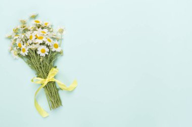 Renkli arka planda küçük bir buket papatya çiçeği, üst manzara.