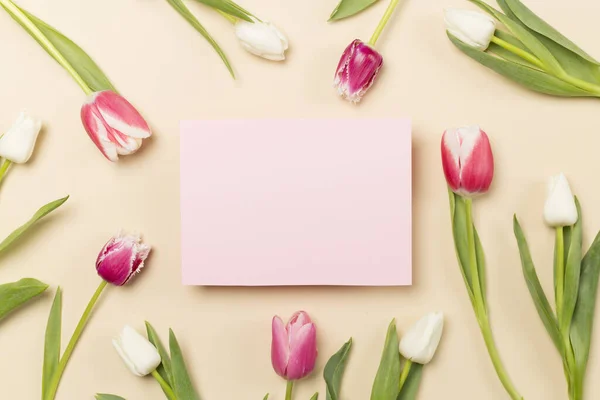Bright tulips on color background, top view. Greeting card mockup