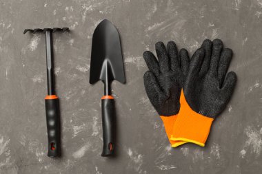 Beton arka planda bahçe araçları, üst görünüm