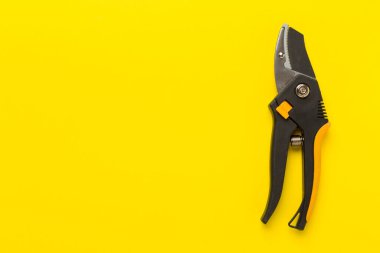 Secateurs on color background, top, view clipart