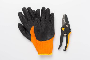 Renk arkaplan, üst, görünüm eldivenli Secateurs