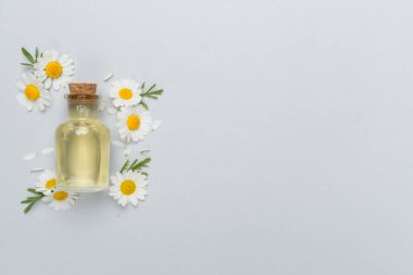 Şişe papatya çayı esaslı yağ ve çiçek rengi arka planda, üst görünüm