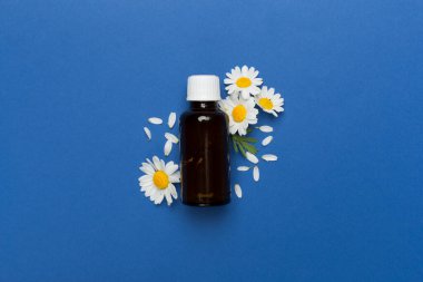 Şişe papatya çayı esaslı yağ ve çiçek rengi arka planda, üst görünüm
