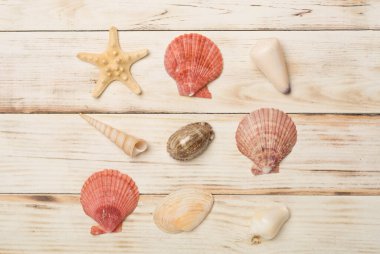 Ahşap zemin üzerinde deniz kabukları, üst görünüm