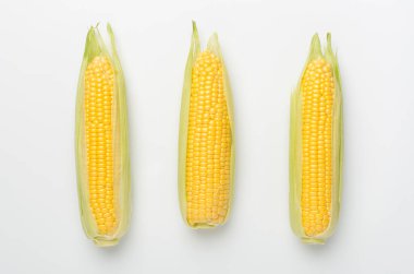 Renk arkaplanı üzerinde mısır kulakları, üst görünüm