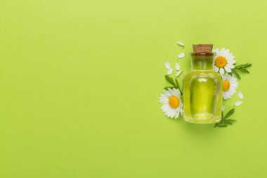 Şişe papatya çayı esaslı yağ ve çiçek rengi arka planda, üst görünüm