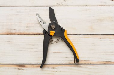 Ahşap arkaplan, üst, görünüm