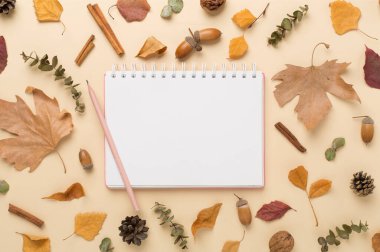 Renk arkaplanı ve üst görünümü üzerinde defter bulunan sonbahar yaprakları