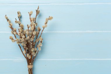 Pussy willow branches on woooden background, top, view. Palm Sunday concept