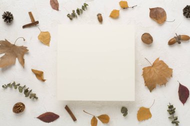 Beton zemin üzerinde sonbahar yaprakları olan tebrik kartı modeli, üst görünüm