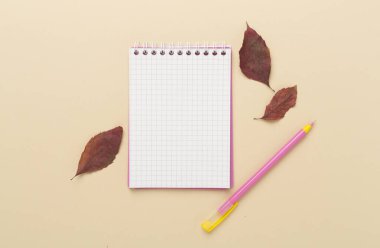 Renk arkaplanı ve üst görünümü üzerinde defter bulunan sonbahar yaprakları