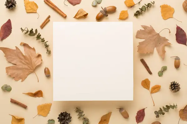 Karta Okolicznościowa Makieta Jesiennymi Liśćmi Tle Koloru Widok Góry Obrazek Stockowy
