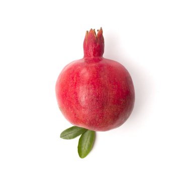 Beyaz yapraklı nar, üst görünümde izole.