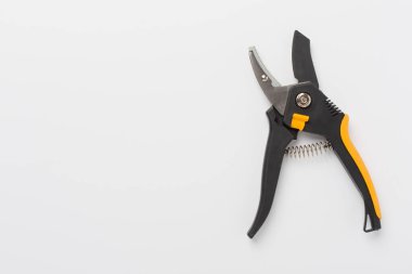 Renk arkaplanı, üst, görünüm