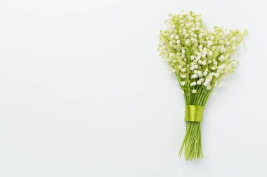 Vadi çiçeklerinin zambakları, arka planda renk, üst manzara.