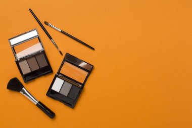 Renk arkaplanında fırçalar olan göz gölgeleri, üst görünüm