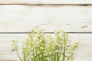 Vadi çiçeklerinin zambakları ahşap arka planda, üst manzara.