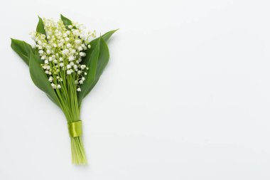 Vadi çiçeklerinin zambakları, arka planda renk, üst manzara.