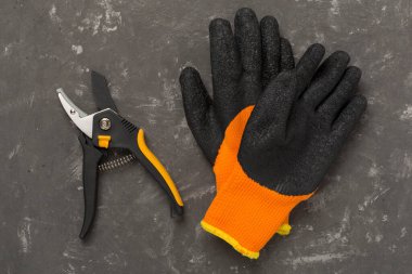 Beton zemin, üst, görünüm Secateurs ve eldivenler