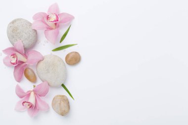 Renkli arkaplanda orkideler ve masaj taşlarıyla kompozisyon, üst görünüm