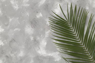 Beton zemin üzerinde yeşil palmiye yaprakları, üst görünüm