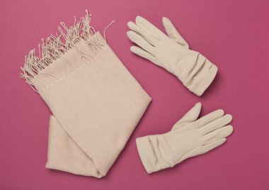 Renk arkaplanı ve üst görünümde sonbahar aksesuarları