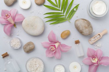 Composition with orchids and massage stones on color background, top view clipart