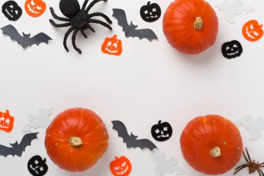 Cadılar Bayramı dekorasyonu ve balkabakları renk arkaplanı, üst görünüm