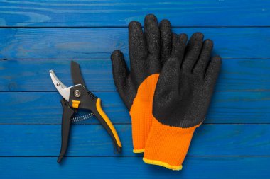 Ahşap zemin, üst, manzara