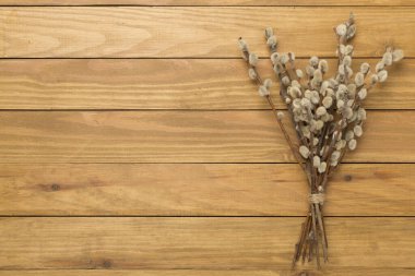 Pussy willow branches on wooden background, top, view. Palm Sunday concept