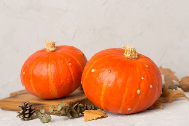 Beton zemin üzerinde sonbahar dekoru olan turuncu balkabakları