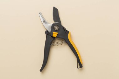 Renk arkaplanı, üst, görünüm