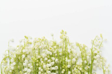 Vadi çiçeklerinin zambakları, arka planda renk, üst manzara.