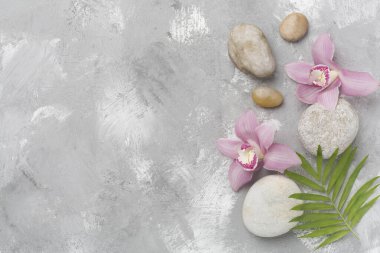 Beton zemin üzerinde orkideler ve masaj taşları olan kompozisyon, üst görünüm