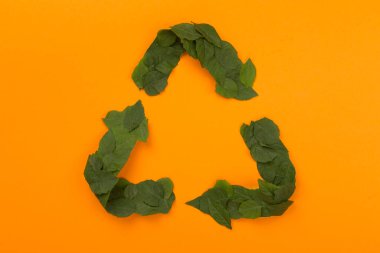 Renk arkaplanındaki yeşil yapraklardan yapılmış geri dönüşüm sembolü, üst görünüm