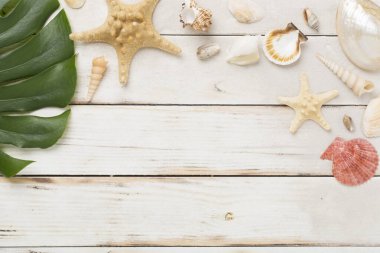 Deniz kabukları, deniz yıldızı ve ahşap arka planda kum, üst manzara.