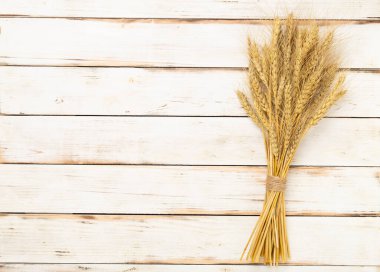 Hecelenen kulaklar açık, üst görünüm