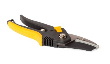 Renk arkaplanı, üst, görünüm