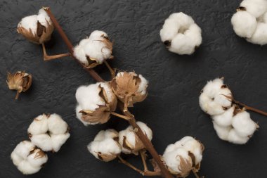 Beton zemin üzerinde pamuk çiçekleri dalı, üst görünüm