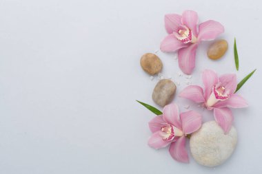 Renkli arkaplanda orkideler ve masaj taşlarıyla kompozisyon, üst görünüm