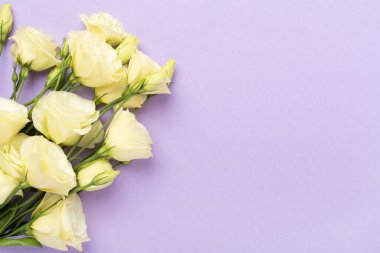 Renkli arka planda Eustoma çiçekleri olan güzel bir buket.