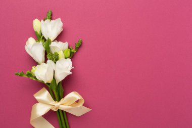 Renk arkaplan üzerinde beyaz frezya çiçeği, üst görünüm