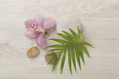 Orkideli kompozisyon ve ahşap zemin üzerinde masaj taşları, üst görünüm