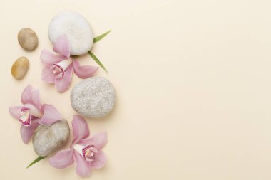 Renkli arkaplanda orkideler ve masaj taşlarıyla kompozisyon, üst görünüm