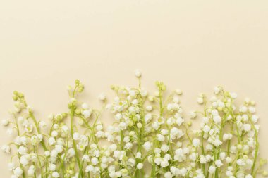 Vadi çiçeklerinin zambakları, arka planda renk, üst manzara.