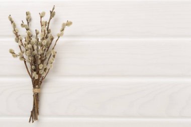 Pussy willow branches on woooden background, top, view. Palm Sunday concept