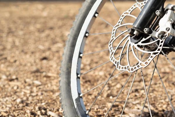 Mountain bike wheel with its components: brake disc, spokes and tyre on an unfocused ground background.
