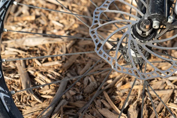 Mountain bike wheel brake disc and spokes on an unfocused ground background.